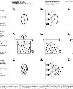 The Sugarcane Decaf Process Explained